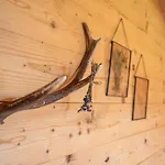 Prenner Alm Ferienhaus Haus im Ennstal