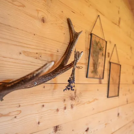 Prenner Alm Holiday home Haus im Ennstal