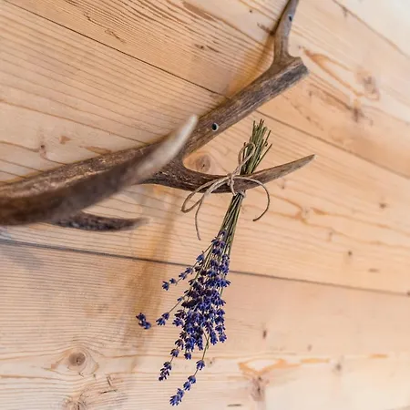 Semesterbostad Prenner Alm *