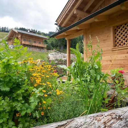 Prenner Alm * Haus im Ennstal