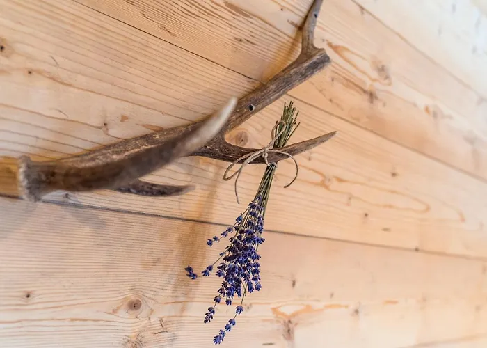 بيت للعطل Prenner Alm *