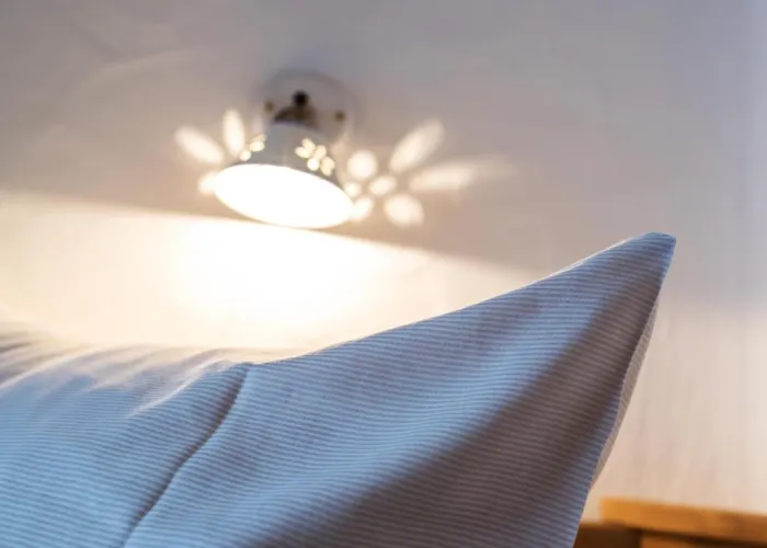 Prenner Alm هاوس إم إنيستال